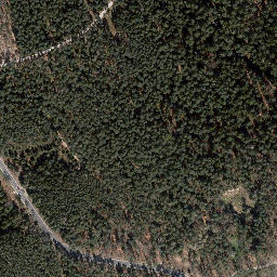 Satellite imagery of Dachsberg, DE