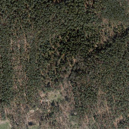 Satellite imagery of Dachsberg, DE