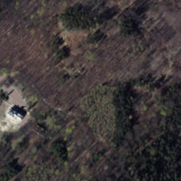 Satellite imagery of Grodno  Zagórze śl - Zamek muzeum, PL