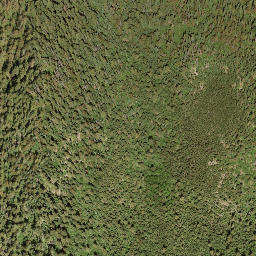 Satellite imagery of Mount Tappen, CA