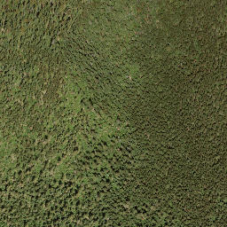 Satellite imagery of Mount Tappen, CA