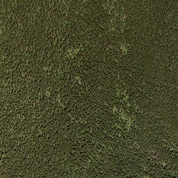 Satellite imagery of Mount Tappen, CA