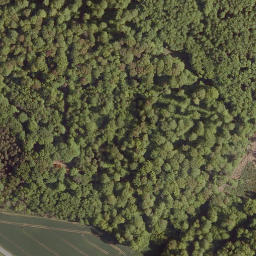 Satellite imagery of Ulrichsberg, DE