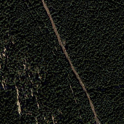 Satellite imagery of Loibe, DE