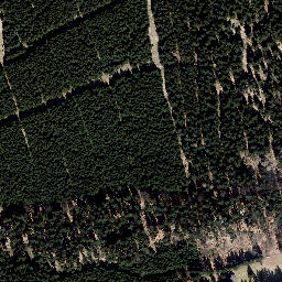 Satellite imagery of Großer Buchenberg, DE