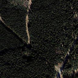 Satellite imagery of Ensebachskopf, DE