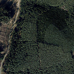 Satellite imagery of Mittelberg, DE