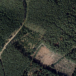 Satellite imagery of Mittelberg, DE