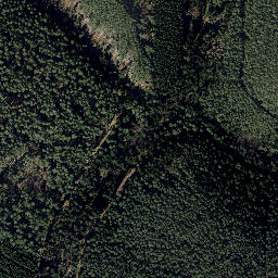 Satellite imagery of Mittelberg, DE