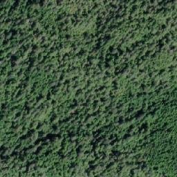 Satellite imagery of George Point, CA