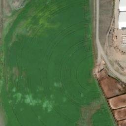 Satellite imagery of Elephant Hill, CA
