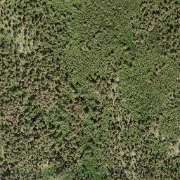 Satellite imagery of Mount Tappen, CA