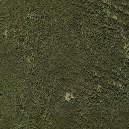 Satellite imagery of Mount Tappen, CA