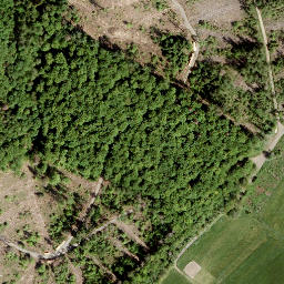 Satellite imagery of Höhwegskopf, DE