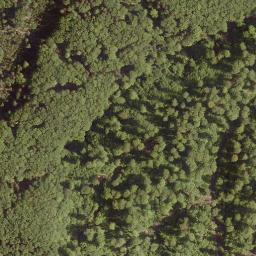 Satellite imagery of Rothlauf, DE
