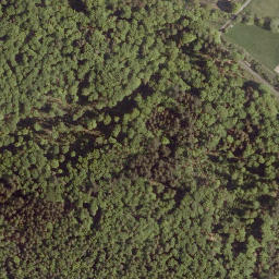 Satellite imagery of Ulrichsberg, DE