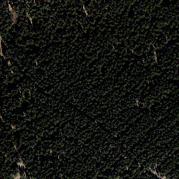 Satellite imagery of Loibe, DE