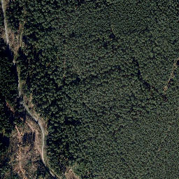 Satellite imagery of Mittelberg, DE
