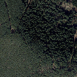 Satellite imagery of Mittelberg, DE