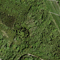 Satellite imagery of Hasselichs-Kopf, DE