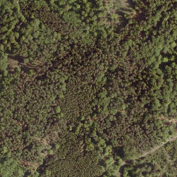 Satellite imagery of Rothlauf, DE