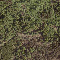 Satellite imagery of Rothlauf, DE