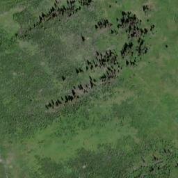 Satellite imagery of Mount Leman, CA