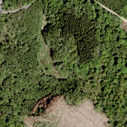 Satellite imagery of Hasselichs-Kopf, DE