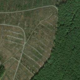 Satellite imagery of Burg, DE
