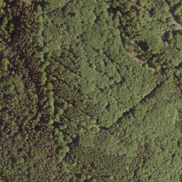 Satellite imagery of Rothlauf, DE