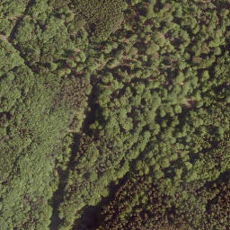 Satellite imagery of Rothlauf, DE