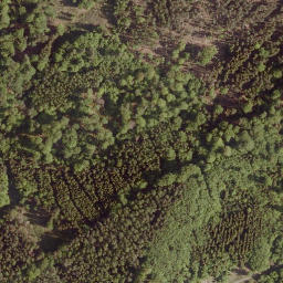 Satellite imagery of Rothlauf, DE
