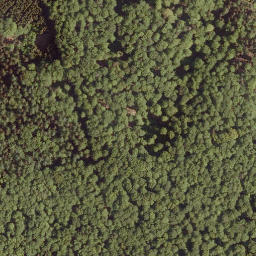 Satellite imagery of Köpfchen, DE