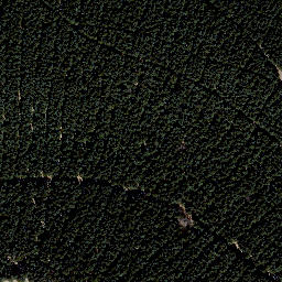 Satellite imagery of Schmalkalder Loibe, DE