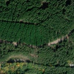 Satellite imagery of Borzel, DE