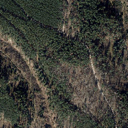 Satellite imagery of Amalienhöhe, DE