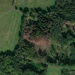 Satellite imagery of (Mez Lesy) [Velká Bukovina], CZ