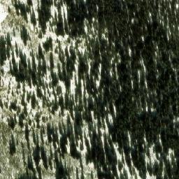 Satellite imagery of Chipuin Mountain, CA