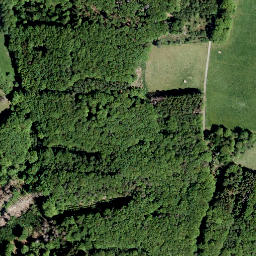 Satellite imagery of Beulskopf, DE