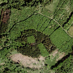 Satellite imagery of Hasselichs-Kopf, DE