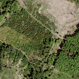 Satellite imagery of Hasselichs-Kopf, DE