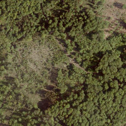Satellite imagery of Sennberg, DE