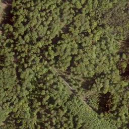 Satellite imagery of Sennberg, DE