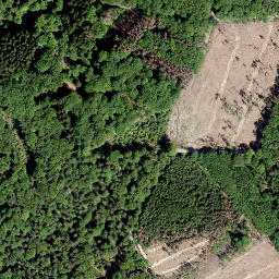 Satellite imagery of Beulskopf, DE