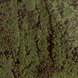Satellite imagery of Sennberg, DE