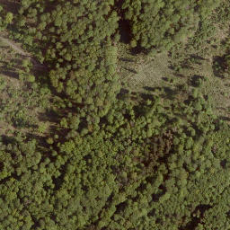 Satellite imagery of Sennberg, DE