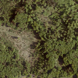 Satellite imagery of Sennberg, DE