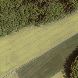 Satellite imagery of Sennberg, DE