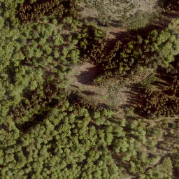 Satellite imagery of Hattenberg, DE