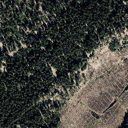 Satellite imagery of Saukopf, DE